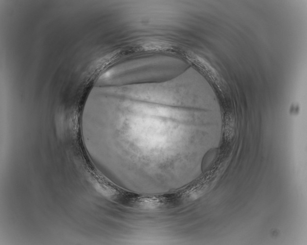 X0000096180405200802151446