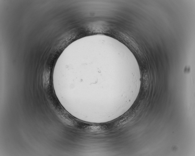 X0000096180406200802151446