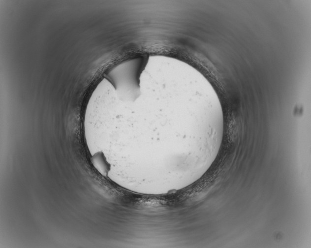X0000096180407200802151446