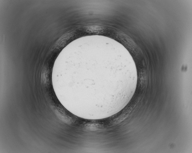 X0000096180408200802151446