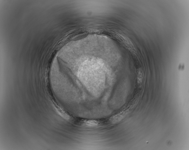 X0000096180409200802151446