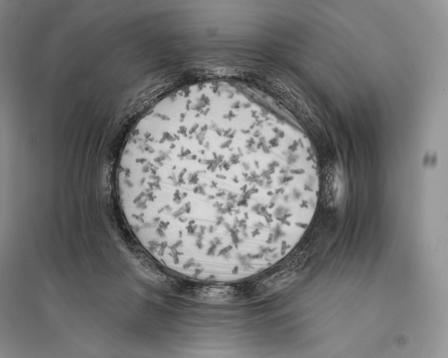 X0000096180410200802151446