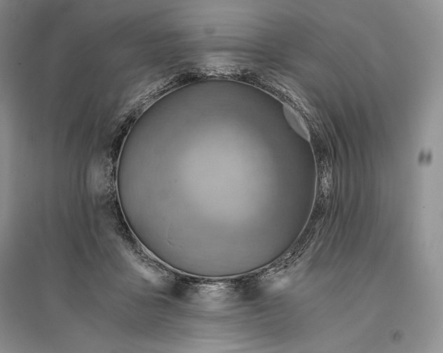 X0000096180411200802151446