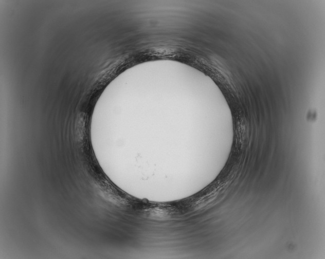 X0000096180412200802151446