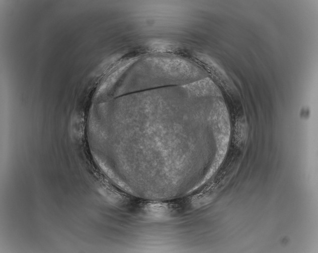 X0000096180413200802151446