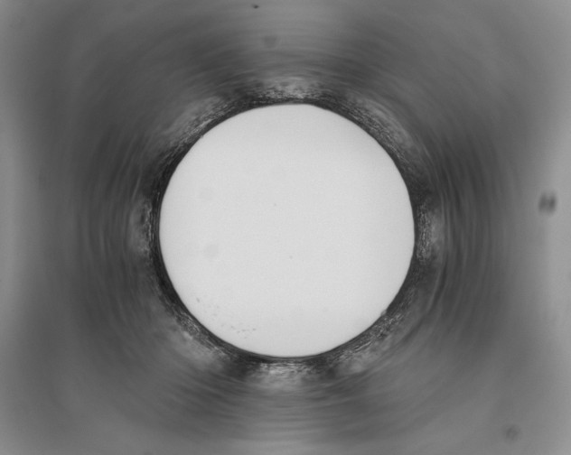 X0000096180414200802151446