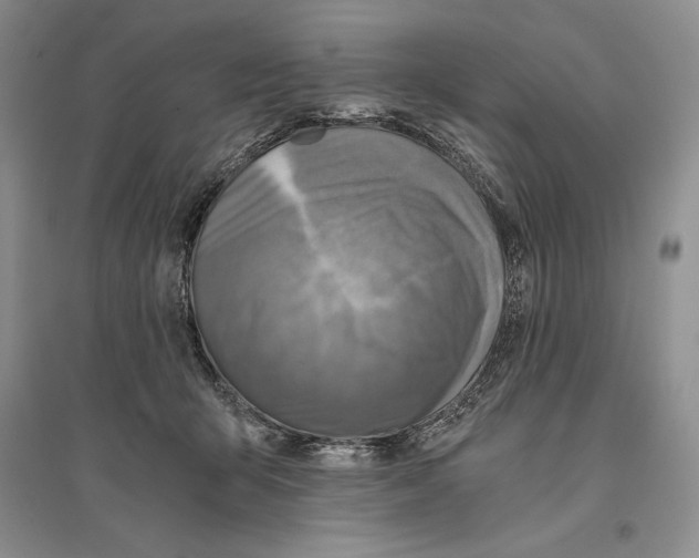 X0000096180415200802151446