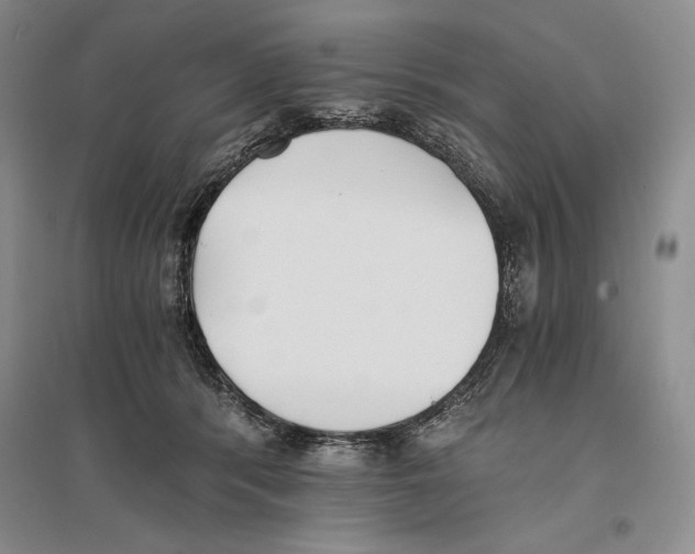 X0000096180416200802151446