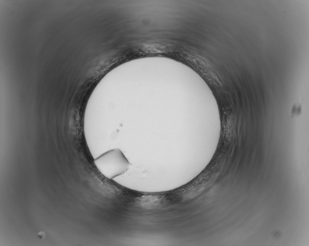 X0000096180418200802151445