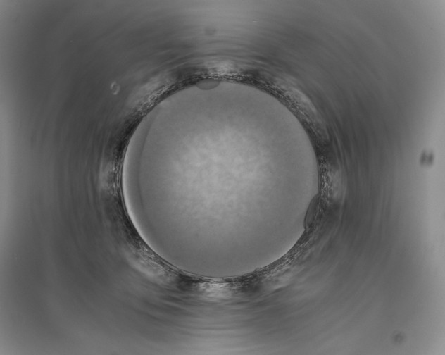 X0000096180419200802151445