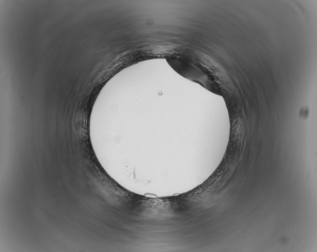 X0000096180421200802151445