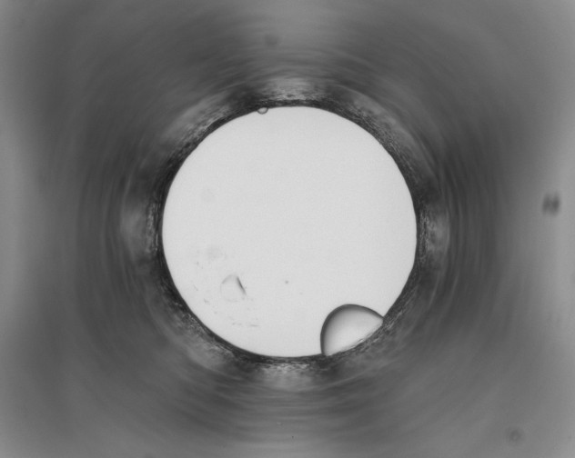 X0000096180422200802151445