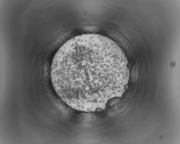 X0000096180424200802151445