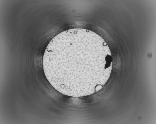 X0000096180425200802151445