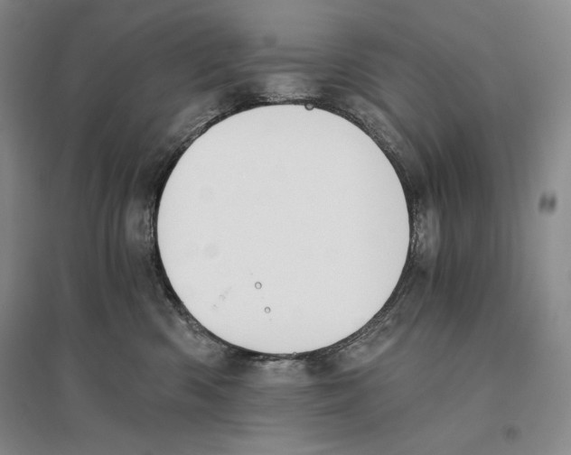 X0000096180426200802151445