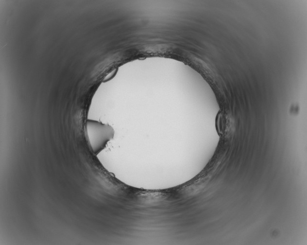 X0000096180428200802151445