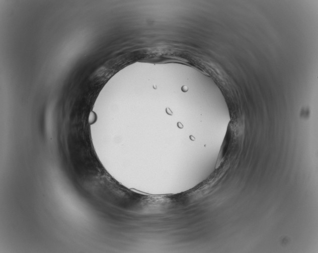 X0000096180429200802151445