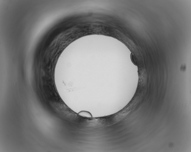 X0000096180430200802151445