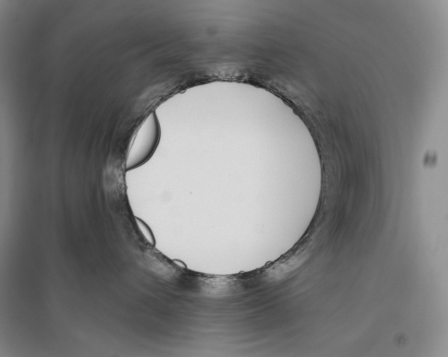 X0000096180432200802151445