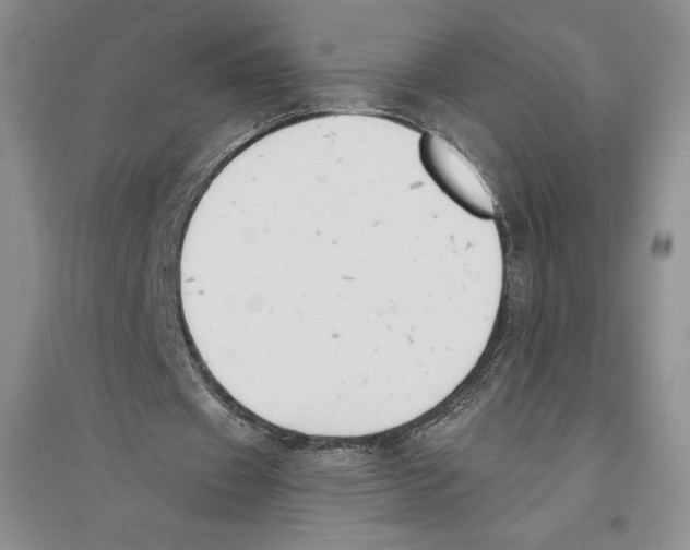 X0000096180433200802151444