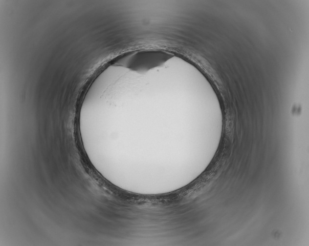 X0000096180434200802151444