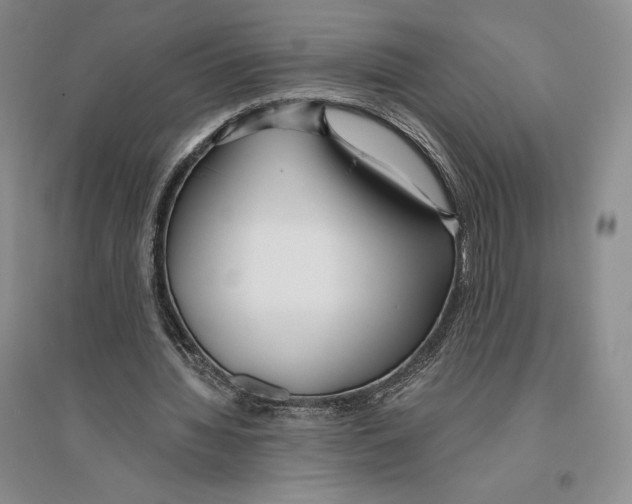 X0000096180436200802151445