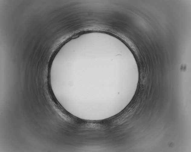 X0000096180437200802151445