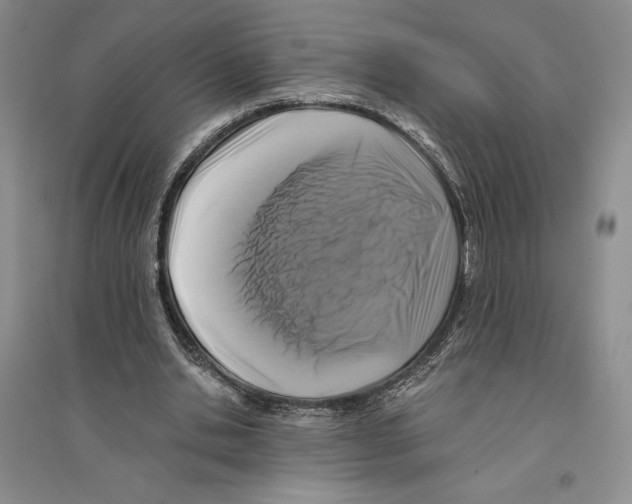 X0000096180438200802151445