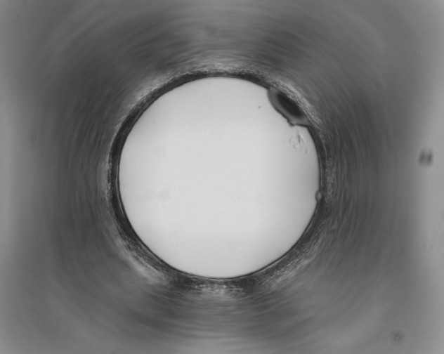 X0000096180439200802151445