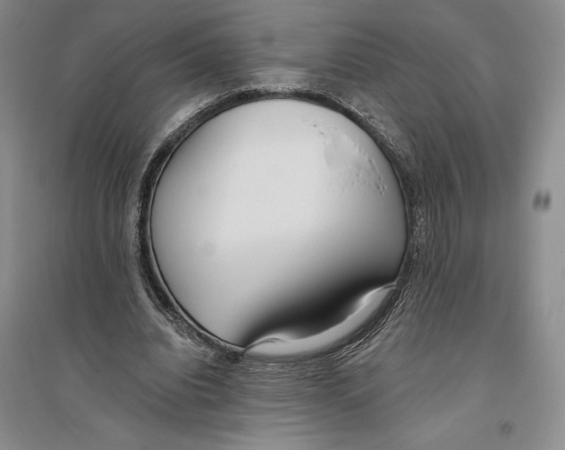 X0000096180440200802151445