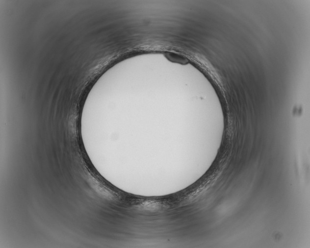 X0000096180441200802151445