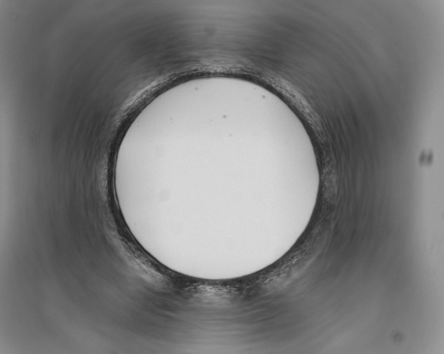 X0000096180442200802151445