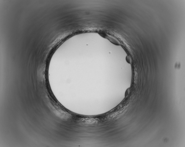 X0000096180443200802151445