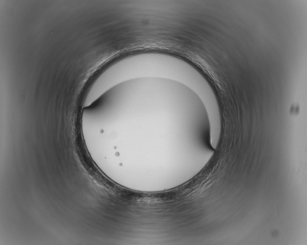 X0000096180444200802151445