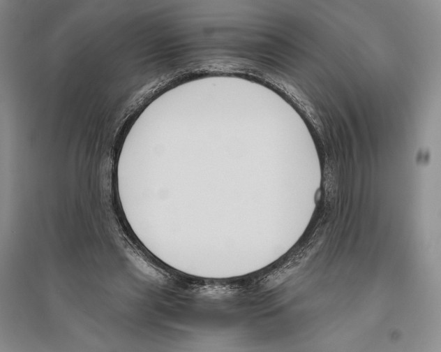 X0000096180445200802151445
