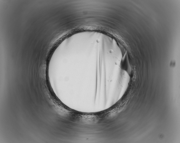 X0000096180446200802151445