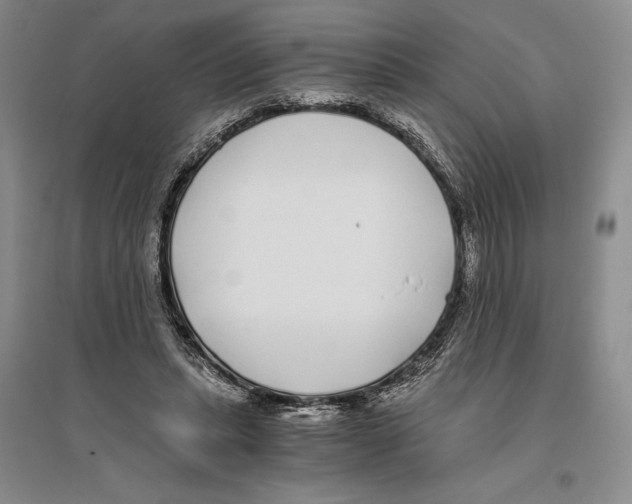 X0000096180447200802151445