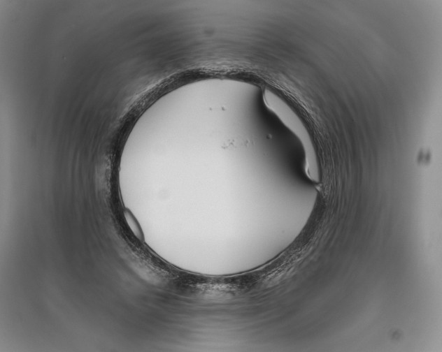 X0000096180448200802151445