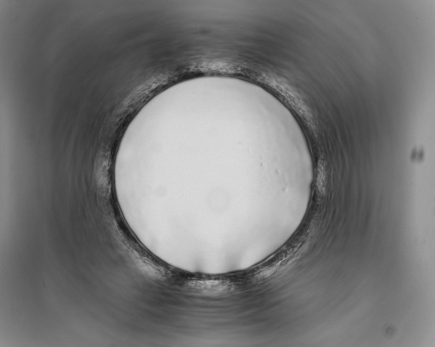 X0000096180449200802151445