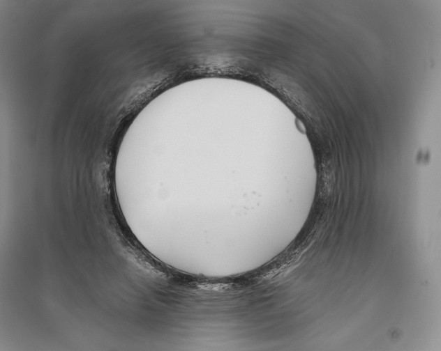 X0000096180450200802151445