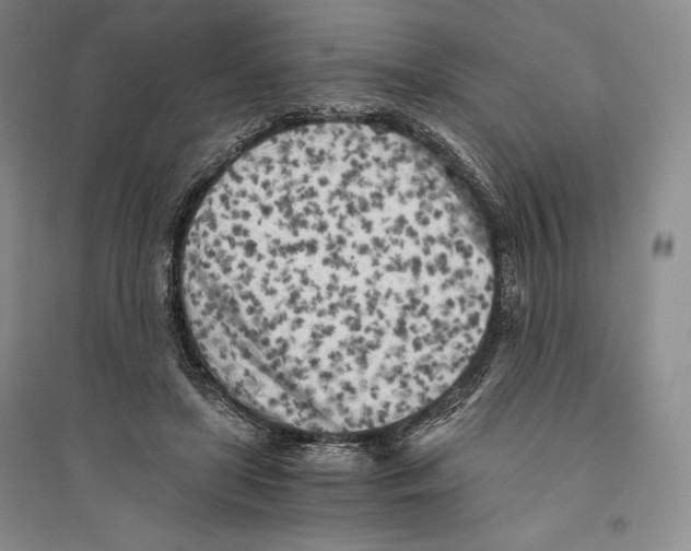 X0000096180451200802151445