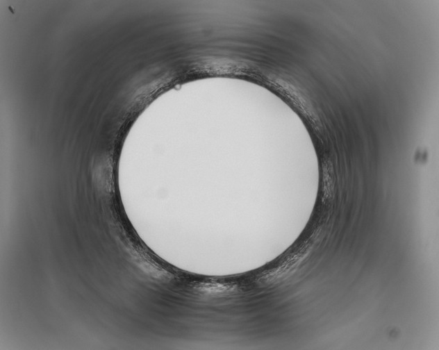 X0000096180453200802151445
