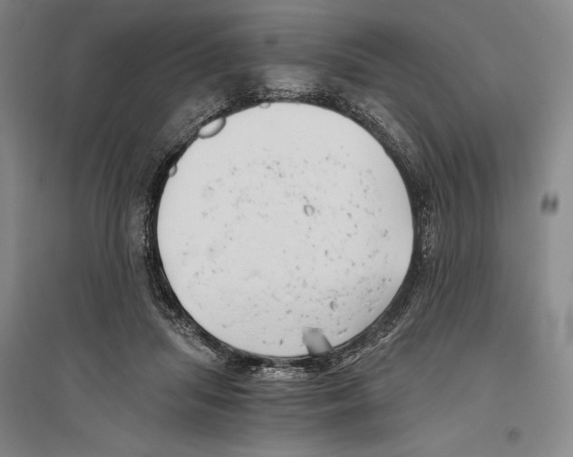 X0000096180455200802151445