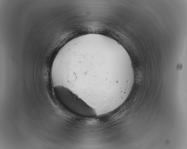 X0000096180456200802151445