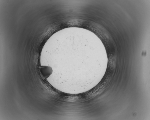 X0000096180458200802151445