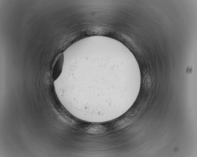 X0000096180459200802151445