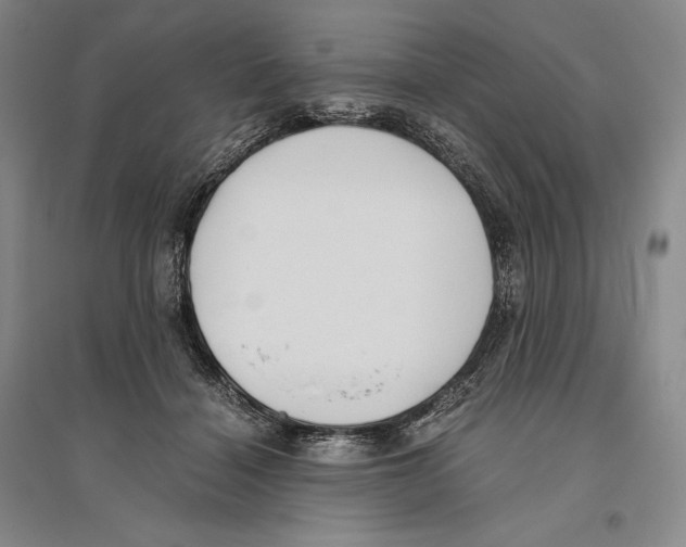 X0000096180460200802151445