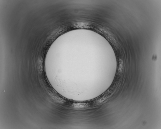 X0000096180461200802151445