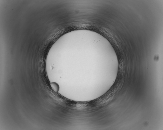 X0000096180462200802151445