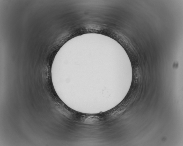 X0000096180463200802151445